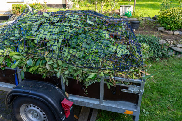 Best Moving and Downsizing Cleanouts  in Vcennes, IN